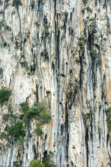 Natural rock formation displaying vertical stripes and vegetation in a remote location during daylight