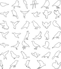 set of Bird vector outline