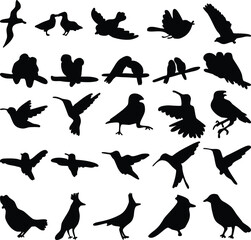 set of Bird vector shape