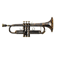Obraz premium Vintage Brass Trumpet with Detailed Engravings and Shine Finish