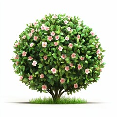 Fototapeta premium Beautiful bush with delicate pink flowers surrounded by lush green leaves on a white background for nature and garden themes