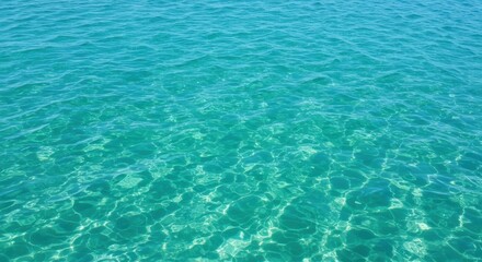 Obraz premium Calm turquoise ocean water creating serene atmosphere.