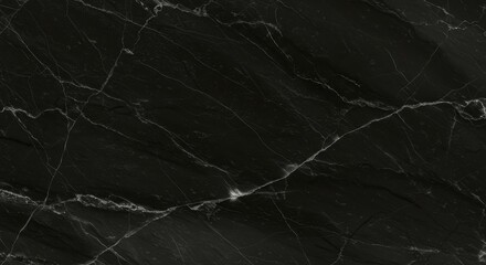 Elegant black marble texture with distinct white veins and smooth surface.