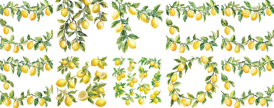 lemon garland watercolor clipart