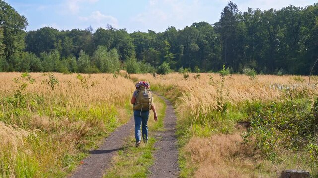 Rear view following a backpacker hiking and exploring the tall grassy wilderness on a gravel trail, shallow depth of field