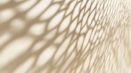 Abstract background with the shadows of a net on a white wall, in a light beige color, high resolution, highly detailed, sharp focus, studio photography.