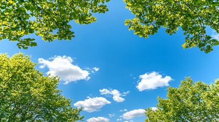 Obraz premium Bright Blue Sky with Fluffy White Clouds Framed by Lush Green Leaves
