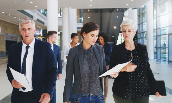 Walking, reading and business people in office with documents preparing for finance pitch. Collaboration, paperwork and venture capitalist team ready for financial investment proposal with discussion
