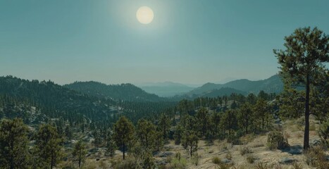 Fototapeta premium Serene Landscape with Clear Blue Sky and Sun over Rolling Hills and Pine Trees at Daytime