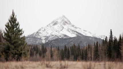 Snow-capped mountain peak, coniferous forest, winter landscape, travel postcard