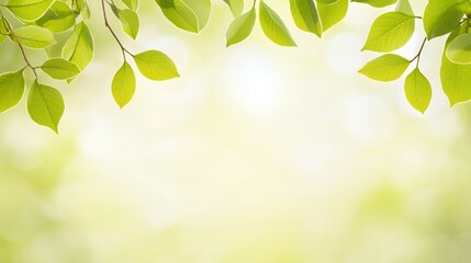 Green Leaves on Branches with Soft Bokeh Background