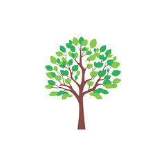 Fototapeta premium Green Tree Transparent PNG