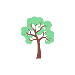 Obraz premium Green Tree Transparent PNG