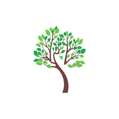 Green Tree Transparent PNG