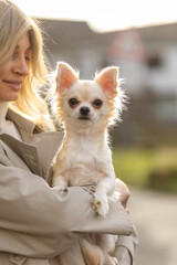 Woman enjoys a sunny afternoon while holding her adorable Chihuahua in a peaceful outdoor setting