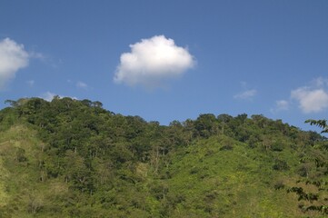 La gran cantidad de montañas y su verdor natural proporciona grandes cantidades de agua utiles a la agricultura.
