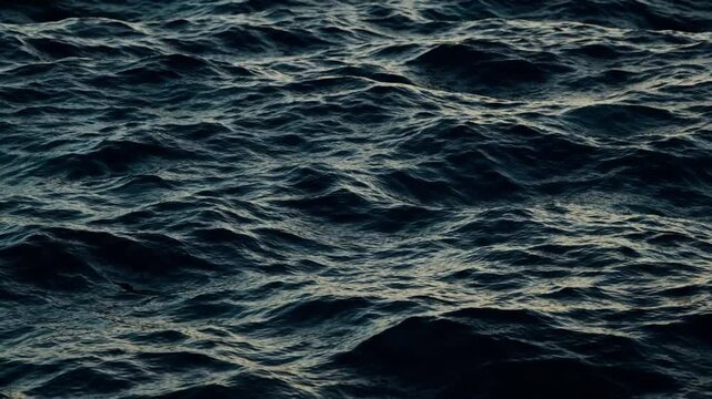 blue water surface