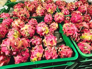 Fresh dragon fruits with vibrant pink skin displayed in green baskets at a market