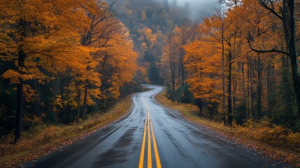 Fototapeta premium Winding Highway Through Vibrant Autumn Landscape in Misty Forest
