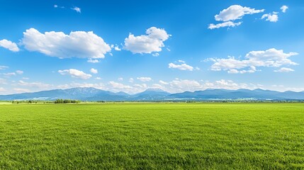 Obraz premium Bright Sunny Day Green Field Landscape with Distant Mountains