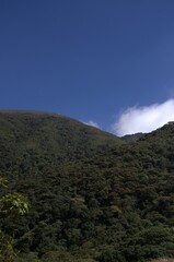 Montañas del Estado Tachira.
Un estado Andino que nos deleita con sus grandes y variadas montañas cubiertas de arboles muy verdes!