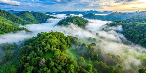 Naklejka premium Aerial view of lush green forest with fog in Nan province, nature, natural beauty, nature, natural beauty, fog, atmosphere, misty