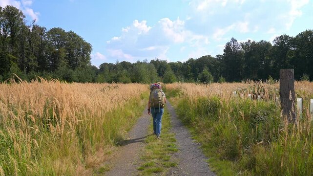 Behind trekking hiker surrounded in by grassy fields on a gravel path on a sunny day