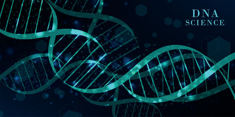 Abstract technology science concept with a DNA molecules and biology vector illustration. DNA blue background