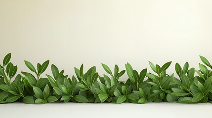 Obraz premium Green Leaf Border Against Beige Background