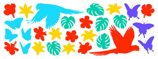 Parrots, monstera leaves, various flowers and butterflies on transparent background, colorful silhouette illustrations, tropical illustration collection