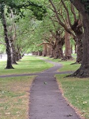 path in the park