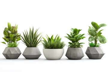 Fototapeta premium A 3D-rendered set of modern concrete planters, each with a unique houseplant, displayed on a white background.