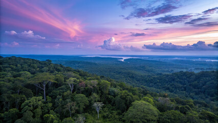 Fototapeta premium Breathtaking sunset over lush rainforest with vibrant colors and clouds