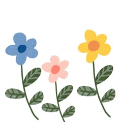 flowers on white background