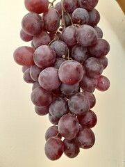 Clustered Elegance: Grapes in Pairs