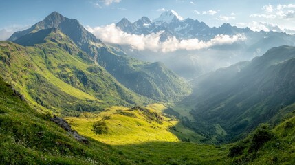 Alpine Meadow Landscape  Sunlit Peaks  Verdant Valley  Wildflowers