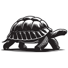 Tortoise walking Silhouette Vector Illustration, Solid White Background.