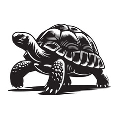 Tortoise walking Silhouette Vector Illustration, Solid White Background.