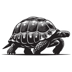 Tortoise walking Silhouette Vector Illustration, Solid White Background.