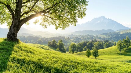 Fototapeta premium Serene Hillside Landscape Sunlit Meadow Majestic Mountains Green Trees