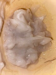 The flesh of young coconuts is white and soft