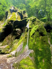 Water trickling down mossy waterfall 