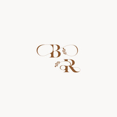 bold and hairline monogram wedding monogram logo initial BR elegant curve organic letter