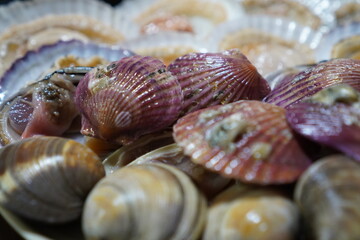 가까이 찍은 모듬 조개 구이