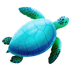 Obraz premium Isolated Sea Turtle With Blue Green Shell And Flippers Swimming In Water