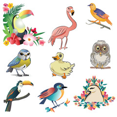 Bird Vector Drawing and Illustration