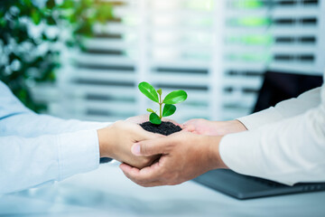 Businessmen holding young plant for ESG, co2, CSR, World sustainable environment, Environmental...
