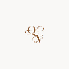 bold and hairline monogram wedding monogram logo initial QV elegant curve organic letter