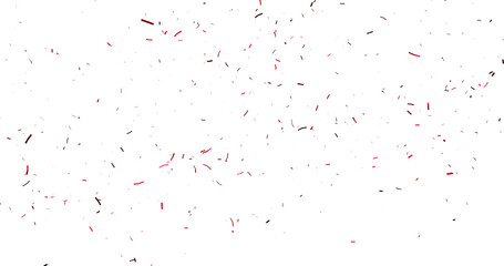 Red Confetti against a White Background Tranparent BG Confeti