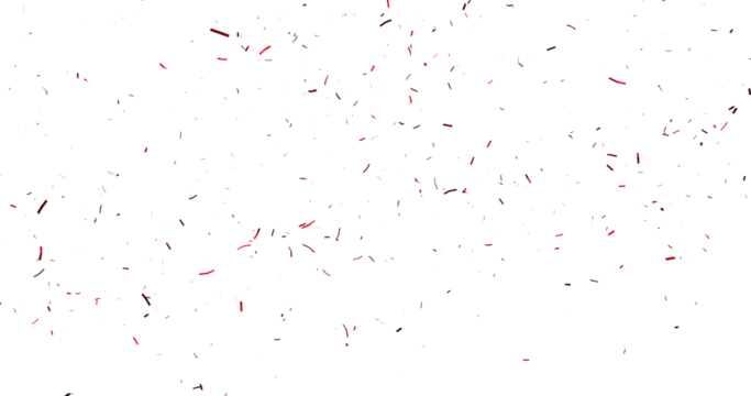 Red Confetti against a White Background Tranparent BG Confeti